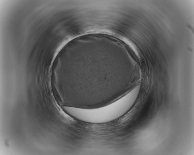 X0000098021102200804111251