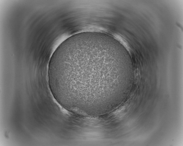 X0000098021103200804111251