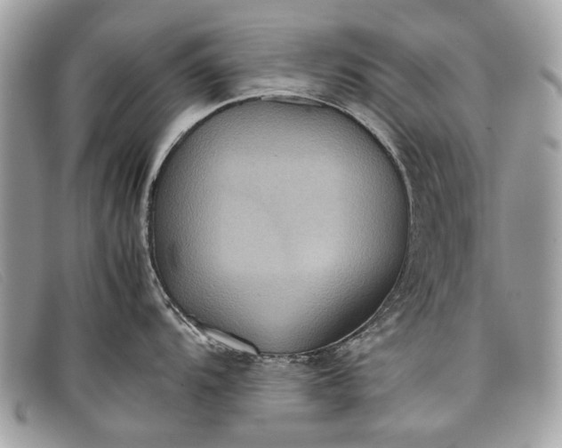 X0000098021104200804111251