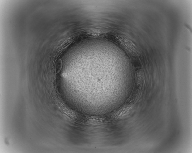 X0000098021105200804111250