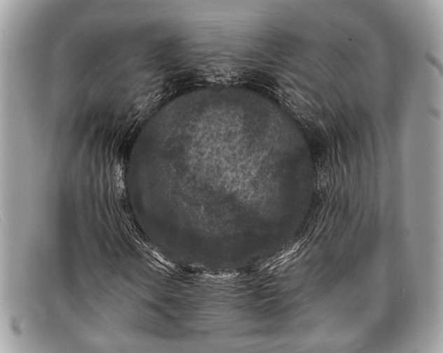 X0000098021106200804111250