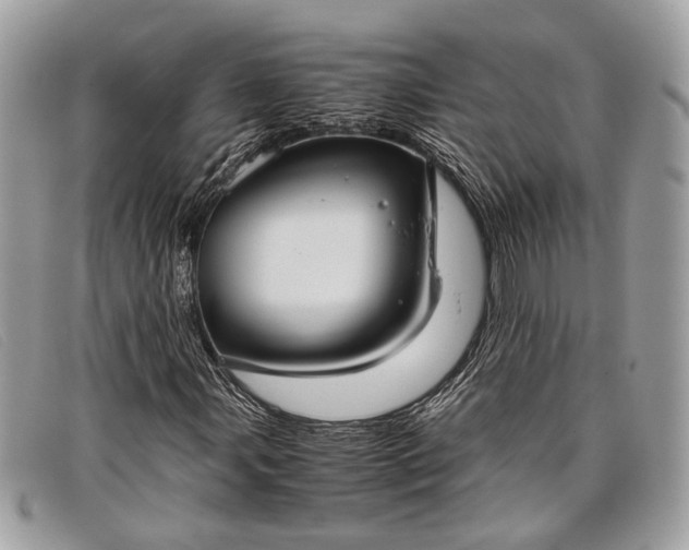 X0000098021107200804111250