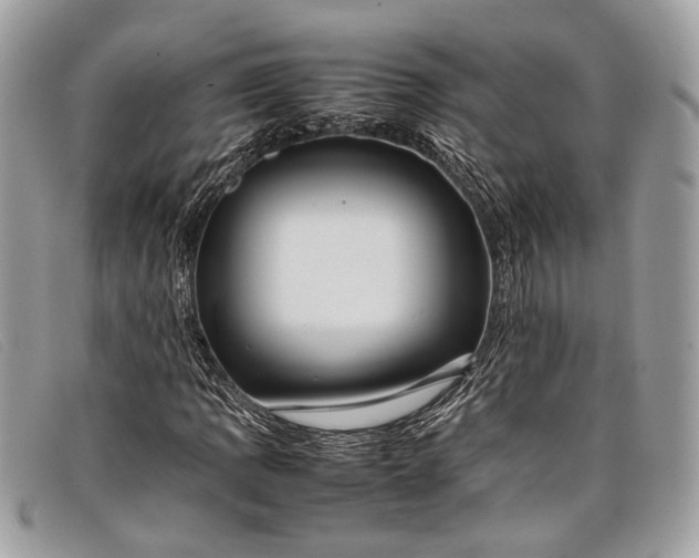 X0000098021109200804111250