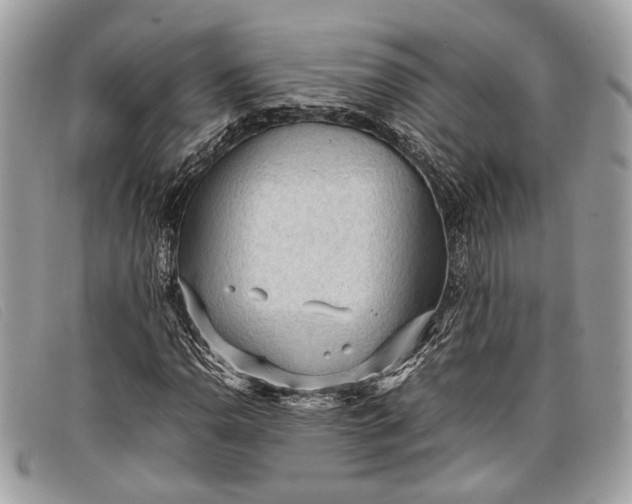 X0000098021110200804111250