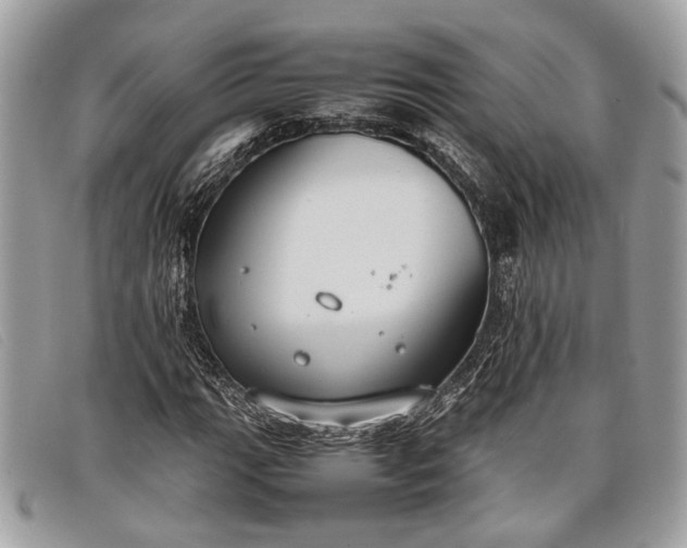 X0000098021111200804111250