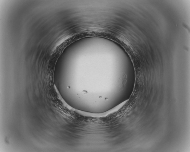 X0000098021112200804111250