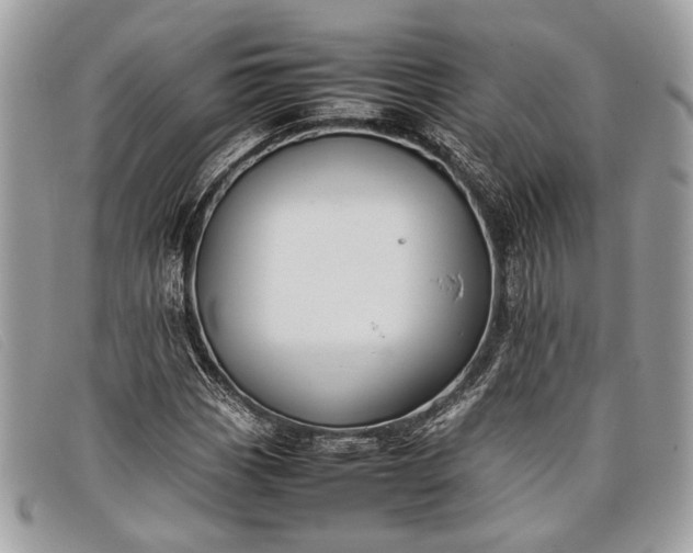 X0000098021113200804111251