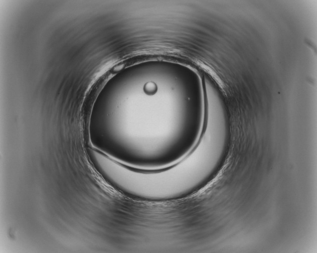 X0000098021114200804111251