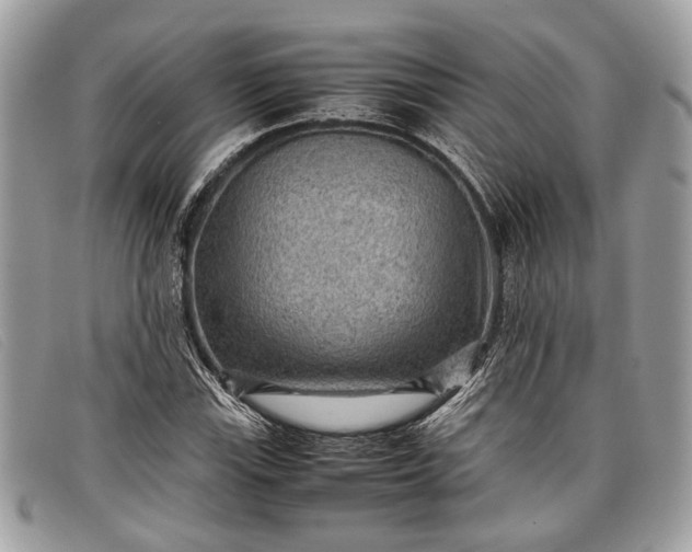 X0000098021115200804111251