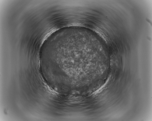 X0000098021117200804111251