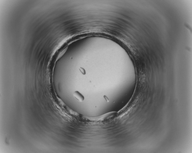 X0000098021118200804111251