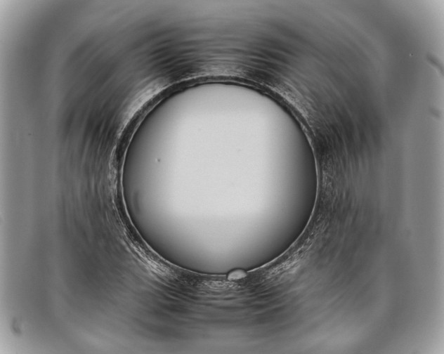 X0000098021119200804111251