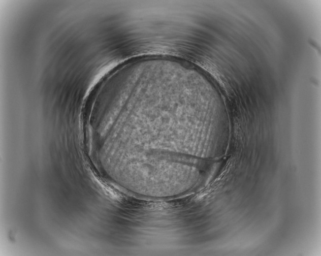 X0000098021120200804111251