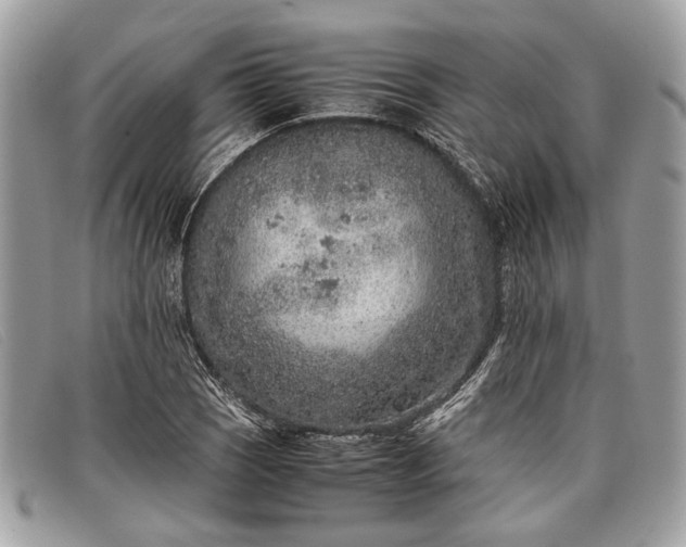 X0000098021121200804111251