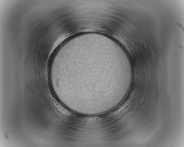 X0000098021122200804111251