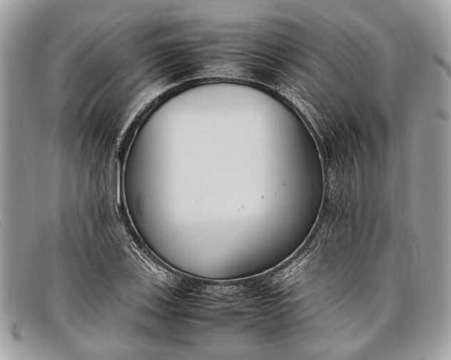 X0000098021123200804111251