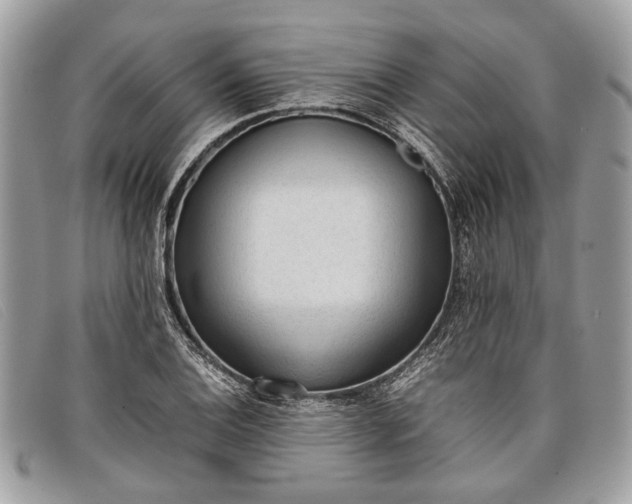 X0000098021124200804111251