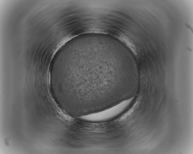 X0000098021125200804111251