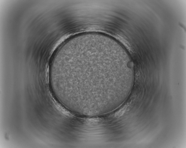 X0000098021126200804111251