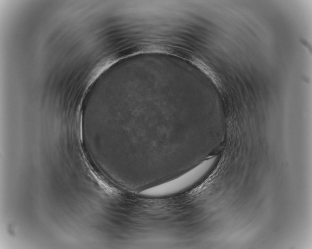 X0000098021127200804111251