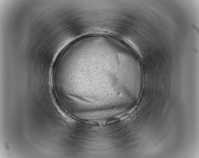 X0000098021128200804111251