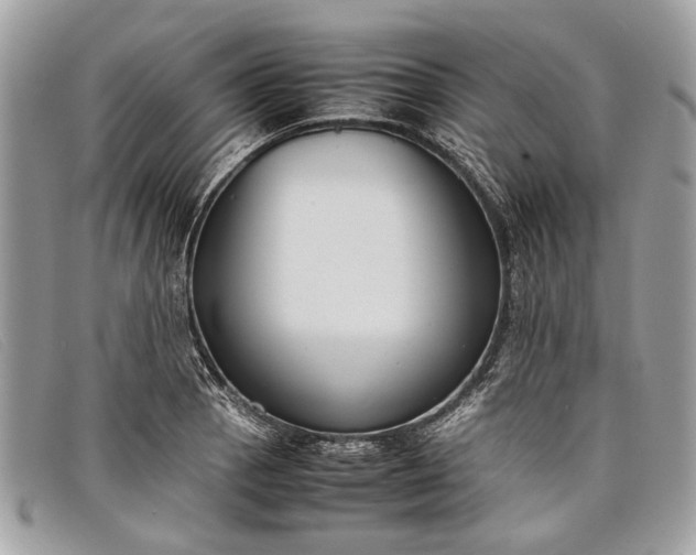 X0000098021129200804111251