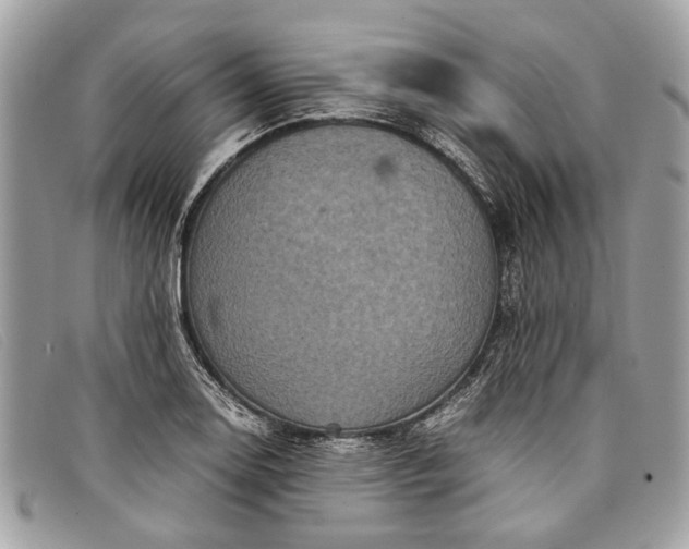 X0000098021130200804111251