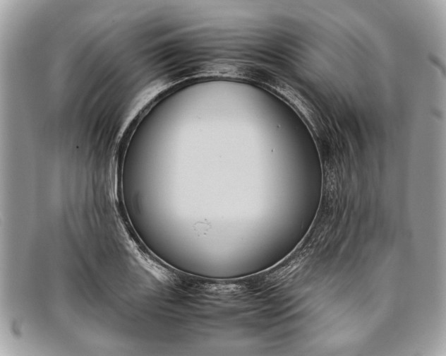 X0000098021131200804111251