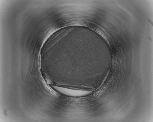 X0000098021132200804111251