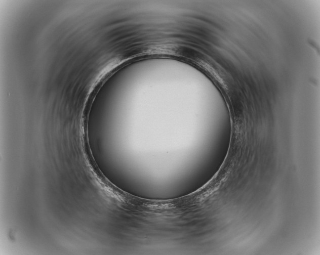 X0000098021133200804111251