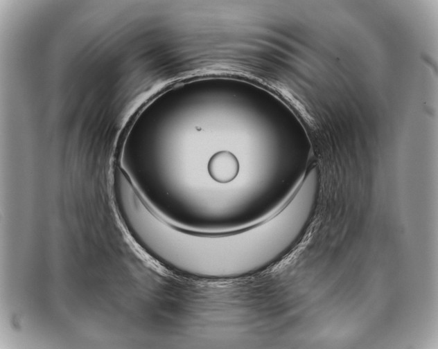 X0000098021134200804111251