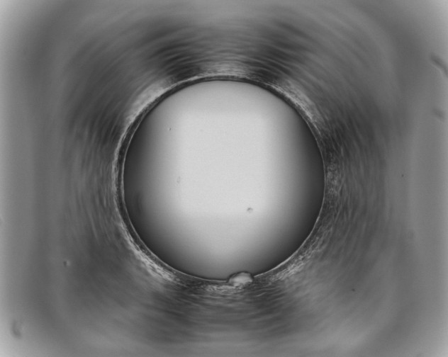 X0000098021135200804111251