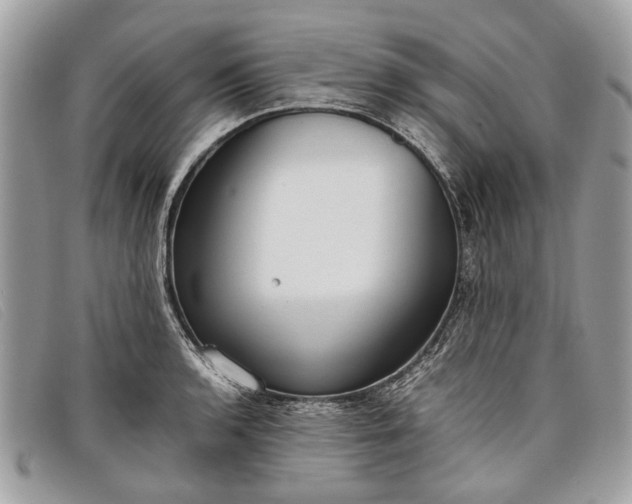 X0000098021136200804111251