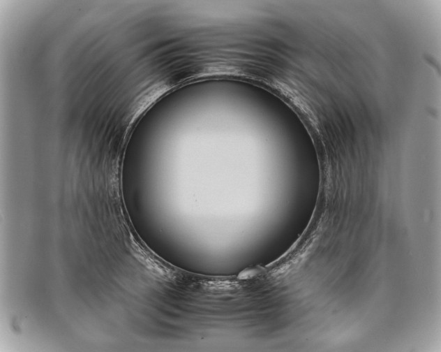 X0000098021137200804111251