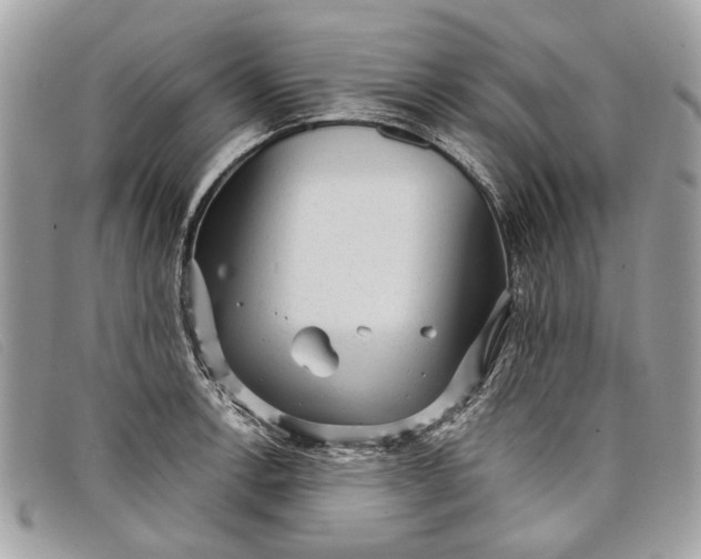 X0000098021138200804111251