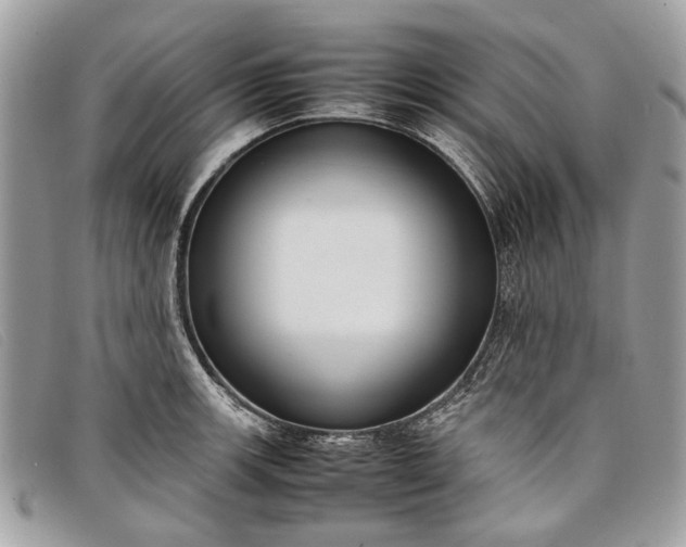 X0000098021139200804111251