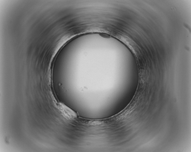 X0000098021140200804111251