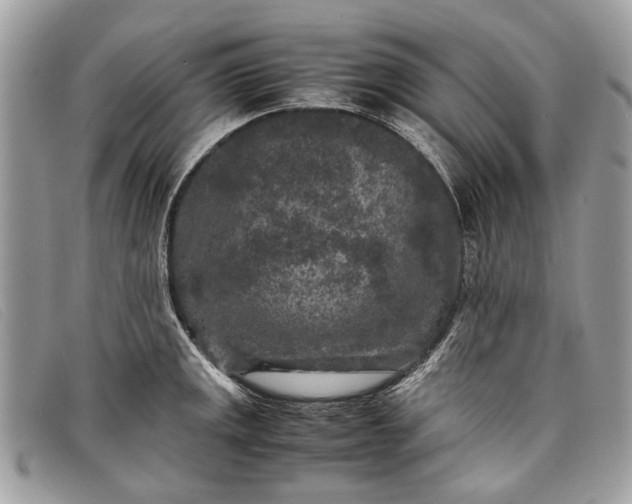 X0000098021141200804111251