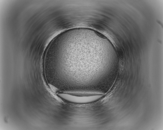 X0000098021142200804111251