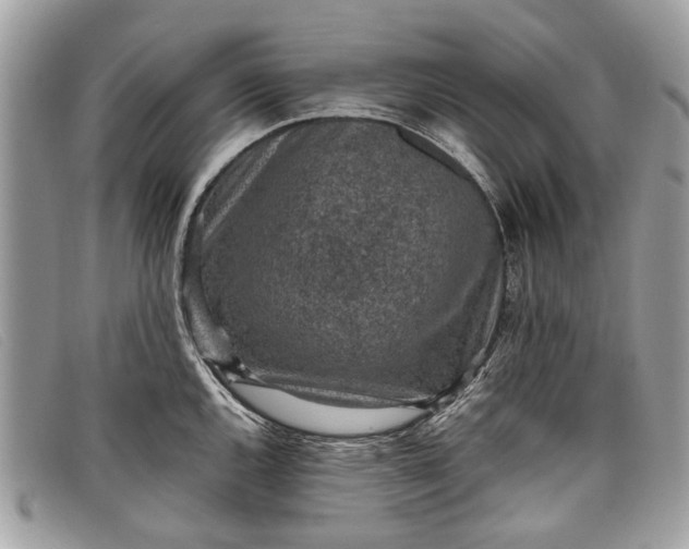 X0000098021144200804111251