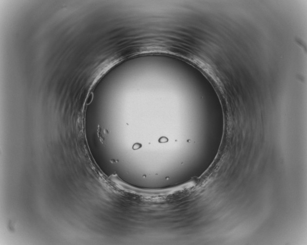 X0000098021145200804111251