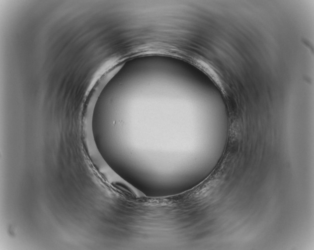 X0000098021146200804111251