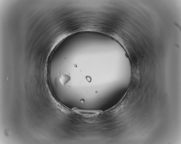 X0000098021147200804111251