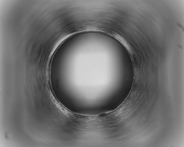 X0000098021148200804111251