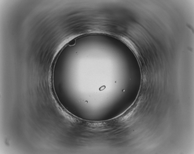 X0000098021149200804111251