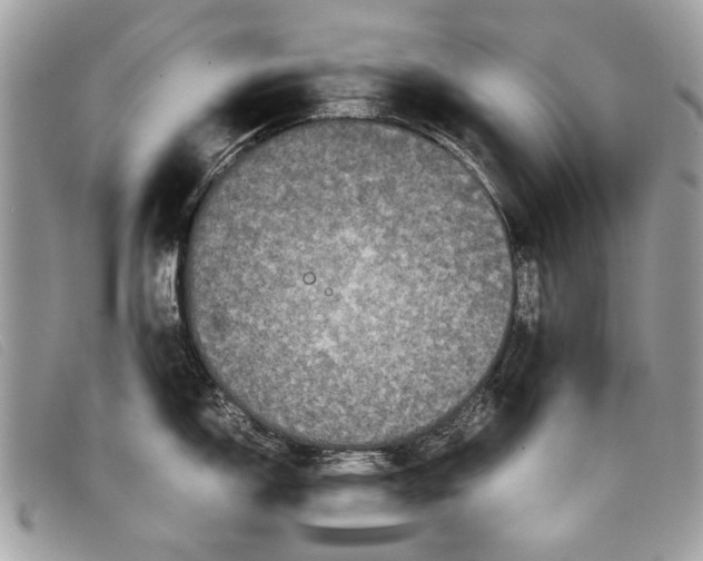 X0000098021150200804111251