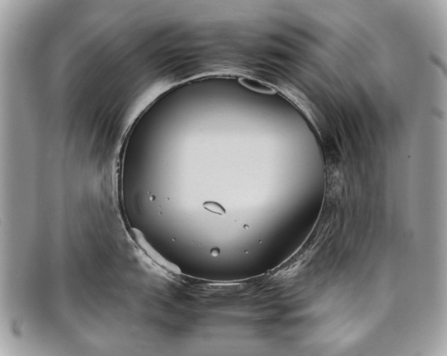 X0000098021151200804111251