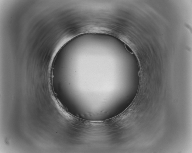 X0000098021152200804111251