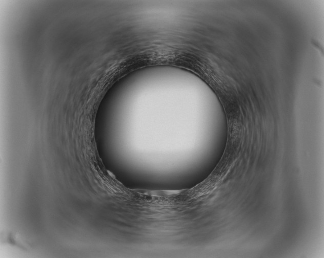 X0000098021153200804111250