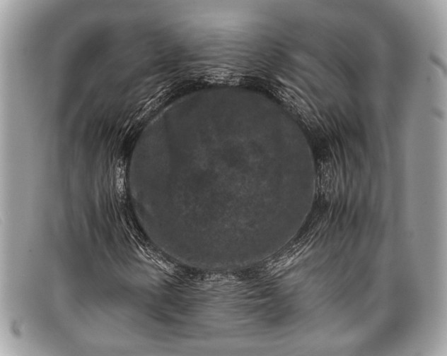 X0000098021154200804111250